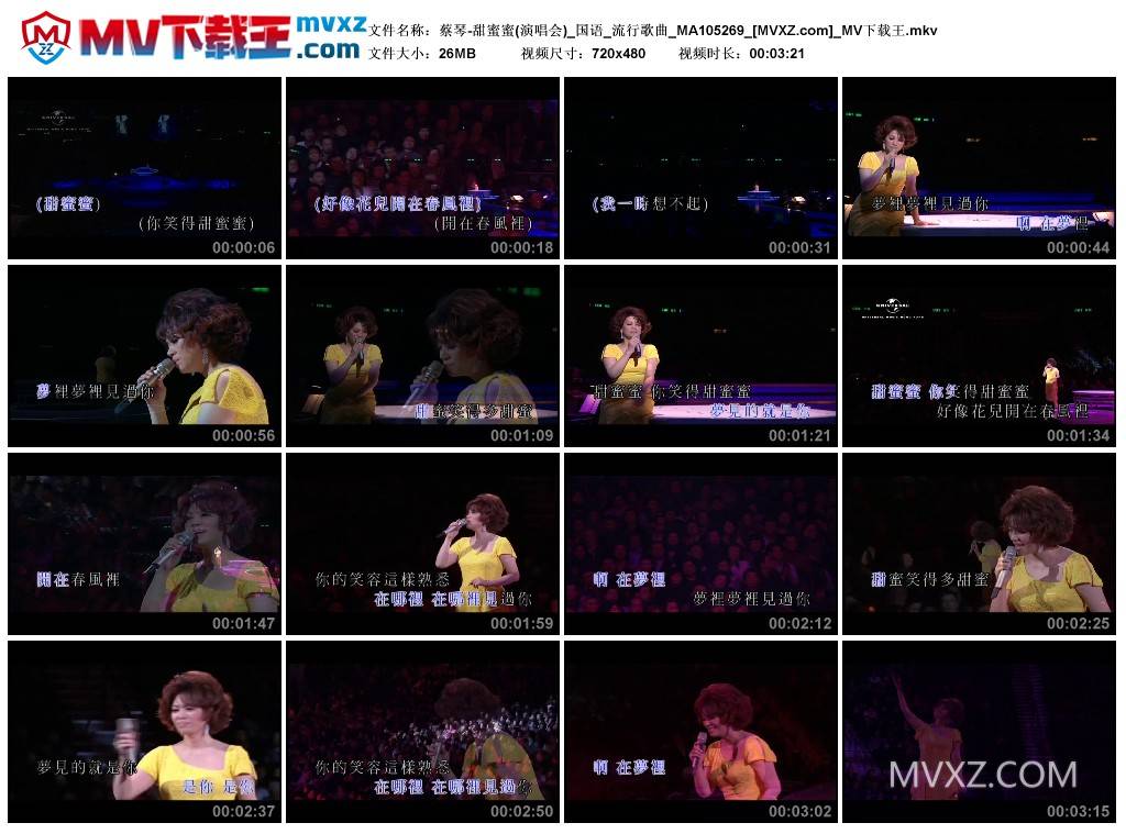 蔡琴-甜蜜蜜(演唱会)_国语_流行歌曲_MA105269